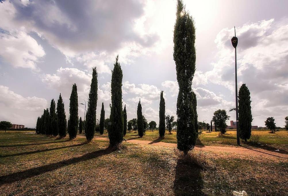 Borghetto Degli Angeli Appartamento